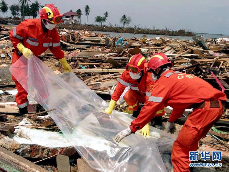 这是2005年1月3日,中国国际救援队在印度洋海啸重灾区印度尼西亚班达亚齐沿海地区开展灾后遗体清理工作。中国国际救援队于2004年12月30日赶赴印度尼西亚,并从2005年1月1日起在班达亚齐为当地灾民开展救助工作。近5年来,中国对外提供了近200次人道主义救灾援助。
党的十六大以来的10年,中国再一次向世界表明,中国的发展是和平的发展,中国对经济全球化条件下自身发展的认识更加丰富,中国积极维护世界和平,中国日益成为解决国际地区热点问题的建设性参与者,成为拉动世界经济增长的重要贡献者。继往开来的10年显示了中国坚定走和平发展道路取得的辉煌成就。
“面向未来,中国将坚定不移做和平发展的实践者、共同发展的推动者、多边贸易体制的维护者、全球经济治理的参与者。”中国向世界表明,一个改革开放的中国,一个繁荣发展的中国,一个和谐稳定的中国,必将为世界做出新的更大贡献。新华社发(翟伟摄)