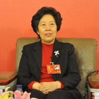 Ժ񸱼쳤