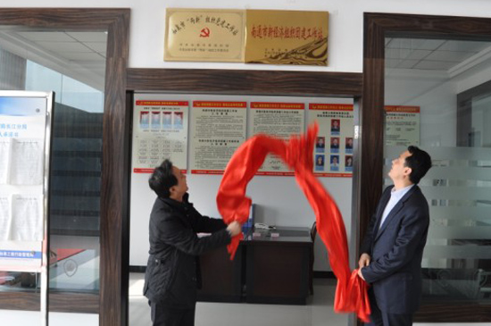 圖：團江蘇省委副書記王偉，如皋市委常委、組織部長蔣建共同為新經濟組織團建工作站揭牌。