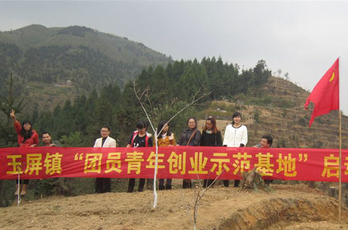 白芨種植基地列入團員青年創業示范基地