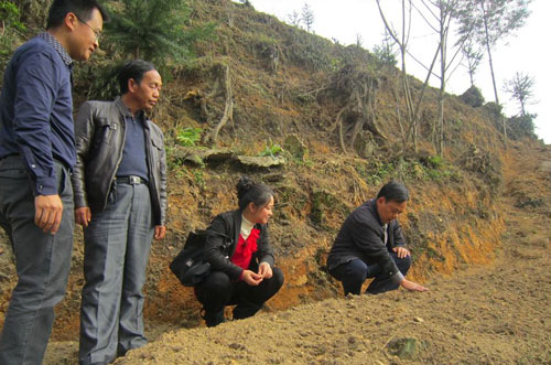 團州委王英副書記到白芨種植基地指導工作