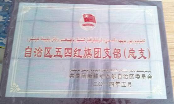 新疆哈密市麗園街道友誼社區：愛心義捐、義賣志願活動【13】