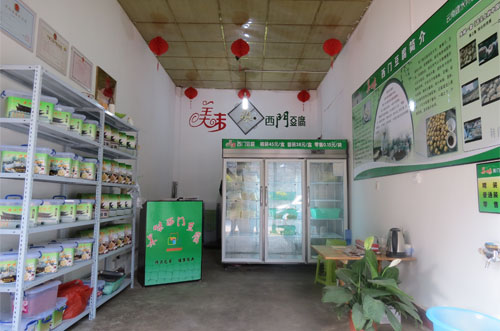 雲南建水縣臨安鎮崇文社區共青團創業團支部——為了讓共青團的旗幟高高飄揚【6】