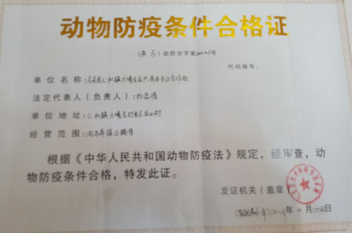 雲南省馬關縣仁和鎮大嘎吉永興養牛專業合作社團支部：立足農村實際  轉變團建思路【2】