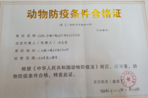 雲南省馬關縣仁和鎮大嘎吉永興養牛專業合作社團支部：立足農村實際  轉變團建思路