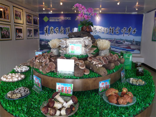 馬過河鎮食用菌種植園區展示廳