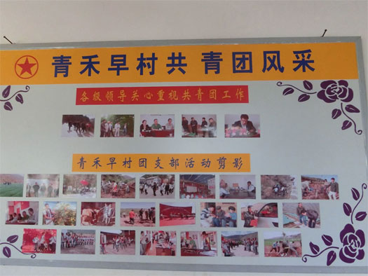 雲南大理青禾早村團支部：通過村級團組織集體經濟建設，促進村級團組織活動開展