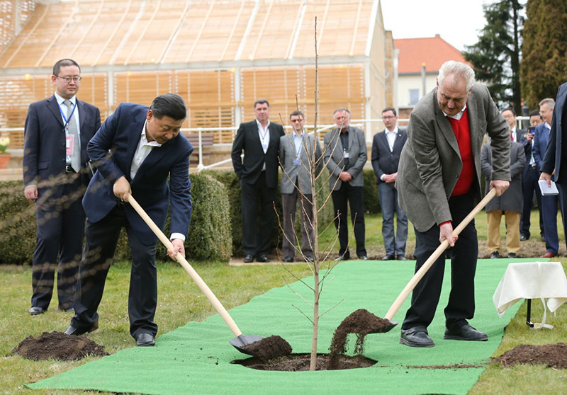 當地時間3月28日，國家主席習近平在布拉格拉尼庄園同捷克總統澤曼舉行會晤。會晤前，兩國元首在庄園裡種下一株來自中國的銀杏樹苗。新華社記者 蘭紅光 攝