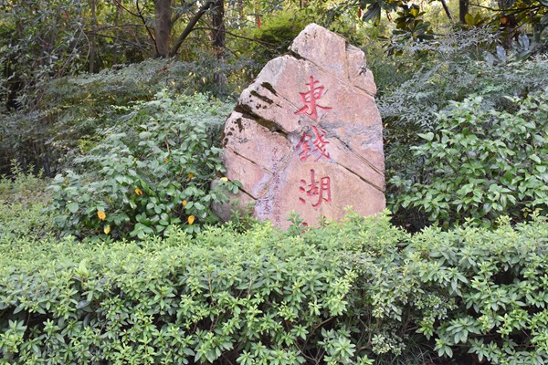 Ǯ