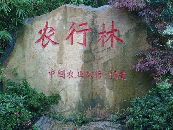 ũ