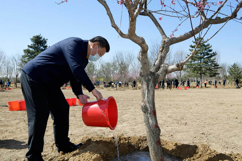 43գ͹쵼ϰƽǿս顢ּʡɽдɹμ׶ֲϰƽˮľ »  