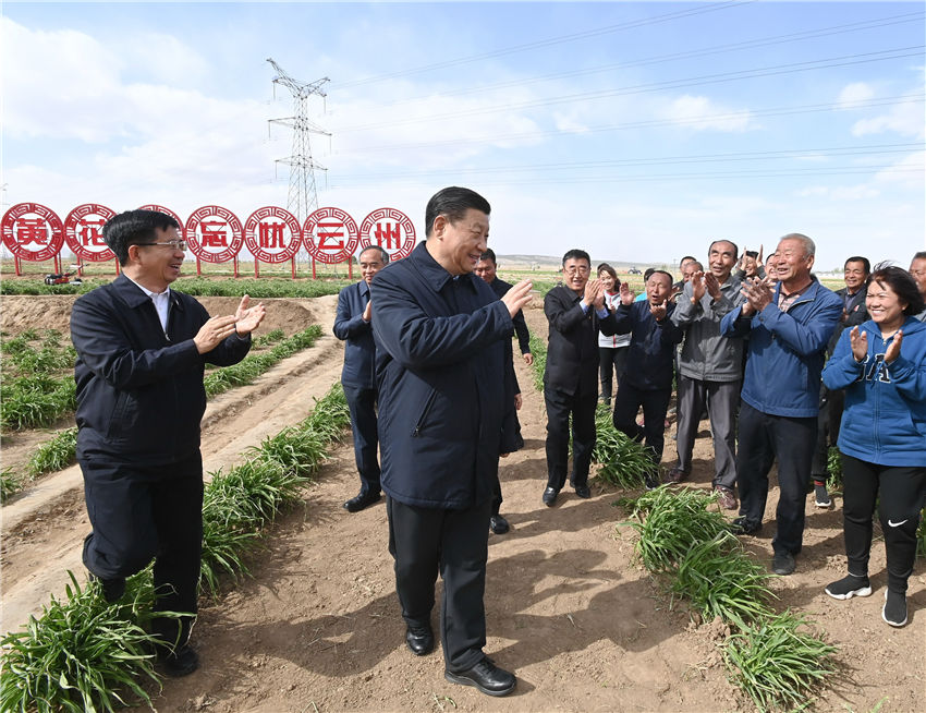 5月11日下午，正在山西考察的習近平總書記來到大同市雲州區有機黃花標准化種植基地，步入田間察看黃花長勢，同正在勞作的村民親切交談。（攝影記者：李學仁、謝環馳、劉彬）