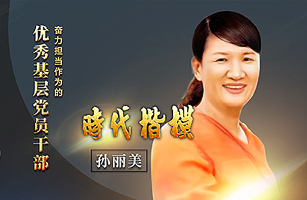 奮力擔當作為的優秀基層黨員干部——孫麗美