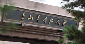 չͼƬ