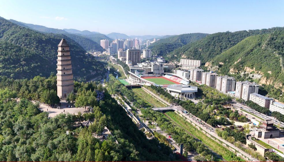 “弘扬延安精神”延安是中国革命的圣地、新中国的摇篮，老一辈革命家和老一代共产党人在延安时期培育形成的延安精神是我们党的宝贵精神财富。习近平总书记指出，延安精神“要代代传承下去”。强国建设、民族复兴的新征程上，我们要大力弘扬延安精神，凝聚风雨无阻向前进、越是艰险越向前的奋进动力。